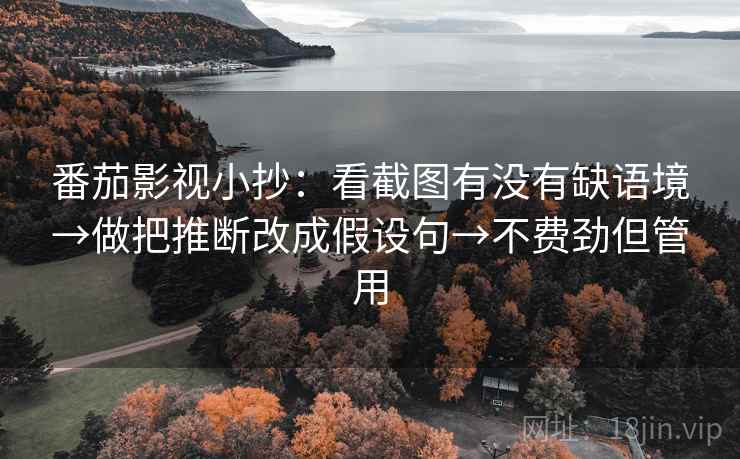 番茄影视小抄：看截图有没有缺语境→做把推断改成假设句→不费劲但管用