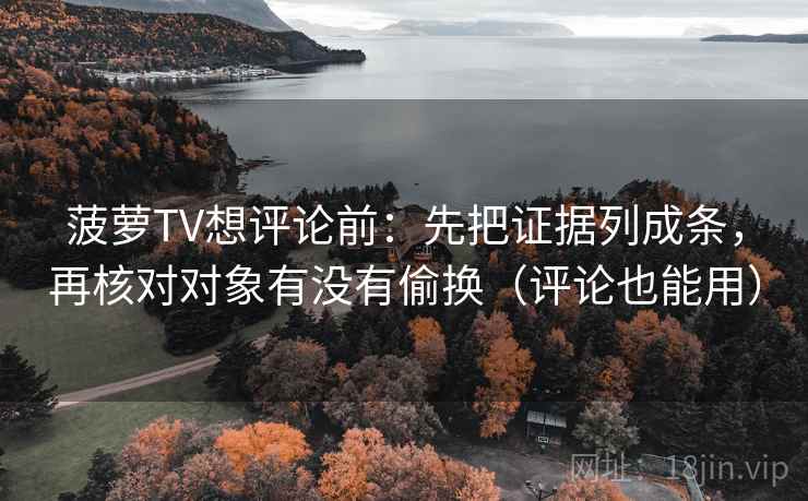 菠萝TV想评论前：先把证据列成条，再核对对象有没有偷换（评论也能用）